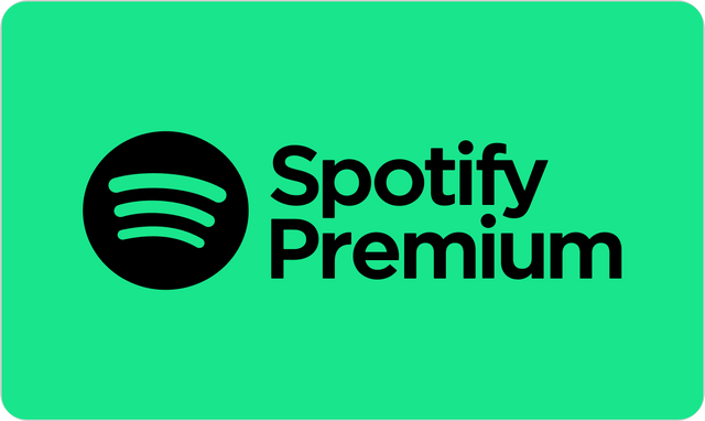 Spotify Premium 1 Month 11